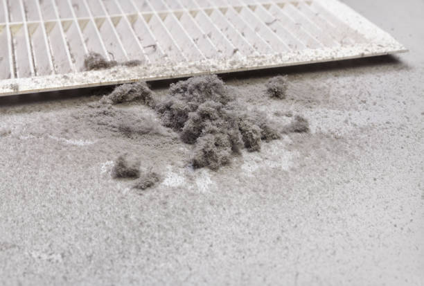 Best Ventilation Cleaning Services  in Pine Valley, CA