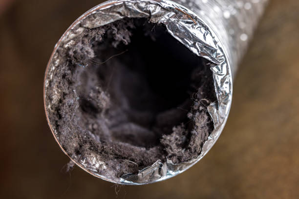 Best Best Air Duct Cleaning Company  in Pine Valley, CA