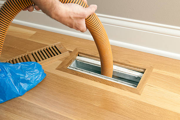 Best Affordable Air Duct Cleaning  in Pine Valley, CA