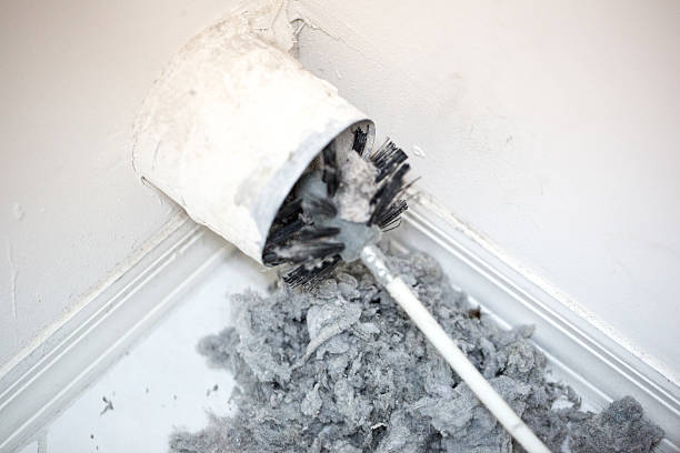Best Air Duct Cleaning Near Me  in Pine Valley, CA