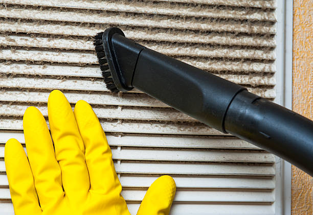 Best Air Duct Cleaning Near Me  in Pine Valley, CA